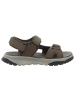 Skechers Sandalen in braun