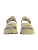 Timberland Bensimon Schnürsenkel-Tennis Braun