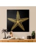 WALLART Leinwandbild Gold - Illustration Seestern auf Schwarz in Schwarz