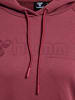 Hummel Hummel Kapuzenpullover Hmlnoni Damen in APPLE BUTTER