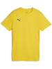 Puma T-Shirt "TeamGoal Jersey Wmn" in Gelb