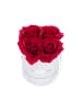 relaxdays Rosenbox 4 rote Rosen in Weiß
