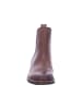 Marco Tozzi Stiefelette in braun