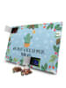 Mr. & Mrs. Panda Tee Advent Kalender Kaktus Sonne mit Spruch in Eisblau