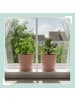 relaxdays 2x Blumentopf in Altrosa - (H) 20 x Ø 20 cm