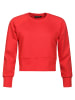 Freshlions Sweatshirt in Rot