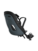 Thule Kindersitz Yepp Nexxt 2 Mini in grau