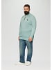 s.Oliver Strickpullover in 7211_salbeigrün