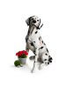 relaxdays Hund-Gartenfigur "Dalmatiner" in Weiß/ Schwarz - (B)39 x (H)83 x (T)52 cm