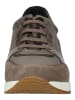 Geox Sneaker in Taupe