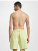 Tommy Hilfiger Shorts in faded lime