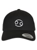 Mister Tee Dad Cap in cancer