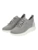 Geox Sneaker in Grau