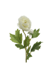 MARELIDA Dekoblume Ranunkel mit Blüte und Knospe in weiß - H: 57cm