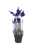 Home&Styling Collection Künstlicher Lavendel in mehrfarben