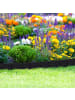 relaxdays 10x Beetzaun in Schwarz - (B)25 x (H)10 cm