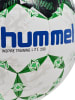 Hummel Fußball Hmlinspire (Zubehör) in GREEN/WHITE/BLUE