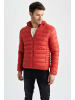 DeFacto Winterjacke SLIM FIT in Dunkelorange