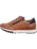 Paul Green Sneaker Low in braun