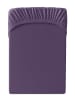Cats Collection Spannbetttuch Edel-Jersey in violett