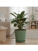 relaxdays 2x Blumentopf in Salbei - (H) 20 x Ø 20 cm