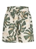 Cloud5ive Cloud5ive Shorts in green/beige