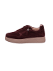 Gabor Sneaker Low in bordo