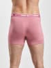 Nike Boxershorts in colored