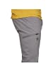 Black Diamond M TECHNICIAN ALPINE PANTS in Grau
