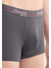 Sloggi Hipster Short / Pant men Start in Graphite / stone grey