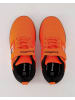 Kangaroos Klettschuhe in Orange