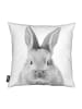Juniqe Kissen "Bunny Classic" in Schwarz & Weiß