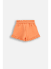 Coccodrillo Kurze Hosen in orange