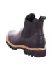 PANAMA JACK Chelsea Boots in Schwarz