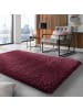 Tara Carpet Hochflorteppich Twilight in Bordeaux