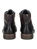 Pikolinos Stiefelette in Dunkelbraun
