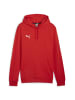 Puma Sweatshirt teamGOAL Casuals Hoody in rot