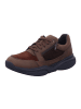 Xsensible Schnürschuhe SWX6 in Braun