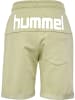 Hummel Hummel Kurze Hose Hmlflik Jungen Atmungsaktiv in ELM