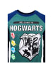 Harry Potter Langarmshirt Harry Potter Hogwarts in Grün