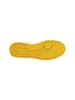 Champion Sneakers Low Rd 2.0 Low  in bunt