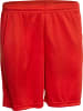 Derbystar Sporthose "Basic Hose" in Rot