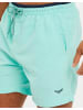 Threadbare Badehose THBDawlish in Mint