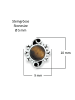 mantraroma 925er Silber - Ohrstecker (L) 10 x (B) 9 mm mit Tigerauge