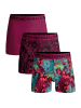 Muchachomalo 3er-Set: Boxershort in Mehrfarbig - für Herren