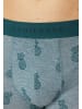 Schiesser Retro Short / Pant 95/5 Cotton in Schwarz / türkis