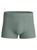 Calida New Boxer in laurel green