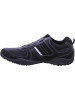 D.T. NEW YORK Slipper in schwarz