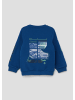 s.Oliver Sweatshirt in 5490_hellblau