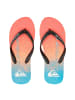 Quicksilver Flip-Flops Molokai in Blau